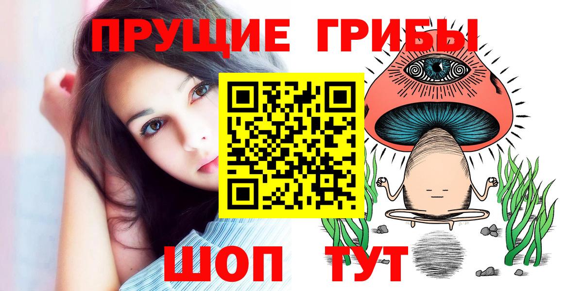 Псилоцибиновые грибы мицелий Кувандык