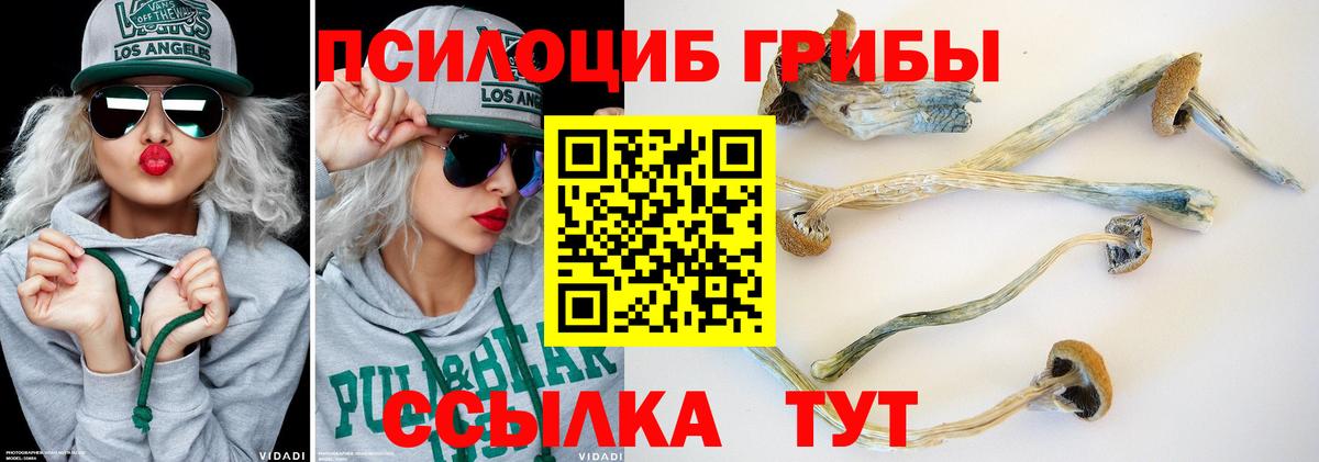 Кувандык  Галлюциногенные грибы ЛСД  Вход с VPN 